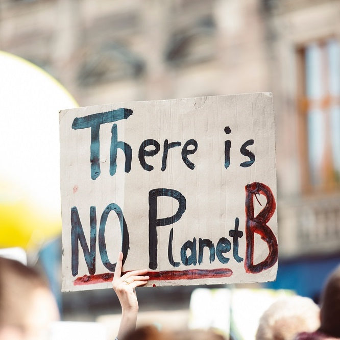 Our Carbon Neutral Commitment