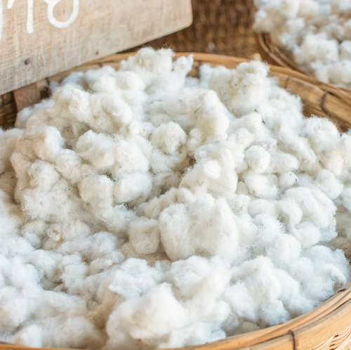 Why Organic Cotton Is Better